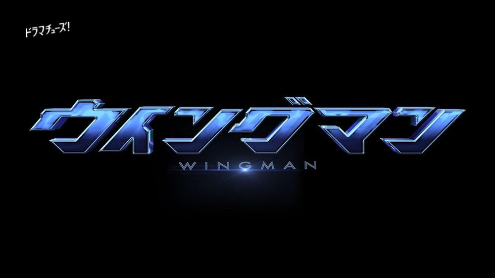 Wingman 2024